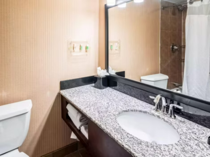 Bathroom 3, Holiday Inn FRISCO by IHG, Summit