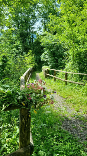 Scenery 11
