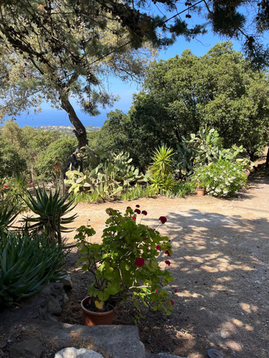 Surrounding environment 4, Villa vue mer, Haute-Corse