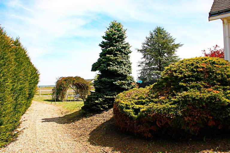 Others 5, LA VEUZAINE, Loir-et-Cher