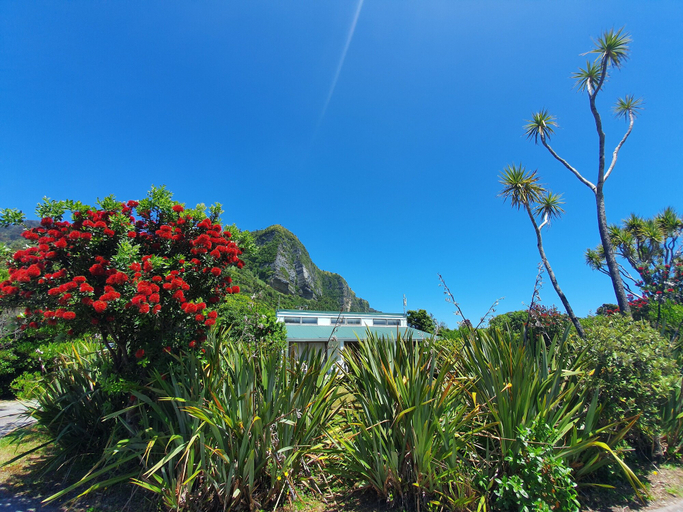 Others 5, Punakaiki Beach Camp, Buller