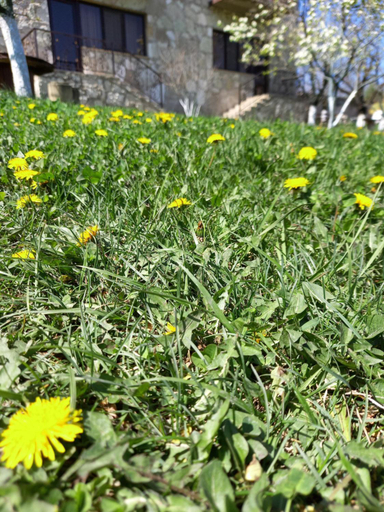 Others 2, Ijevan's Garden Guest House