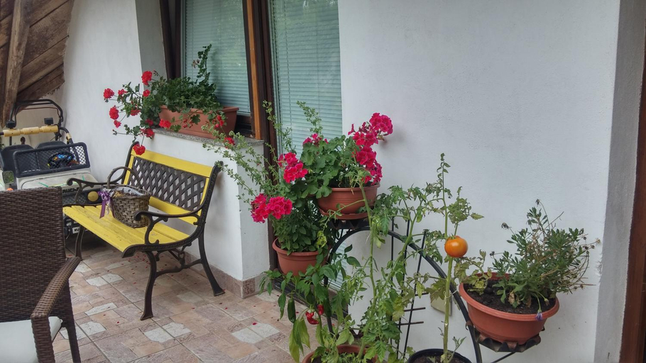 Others 4, Darja Guesthouse, Moravce