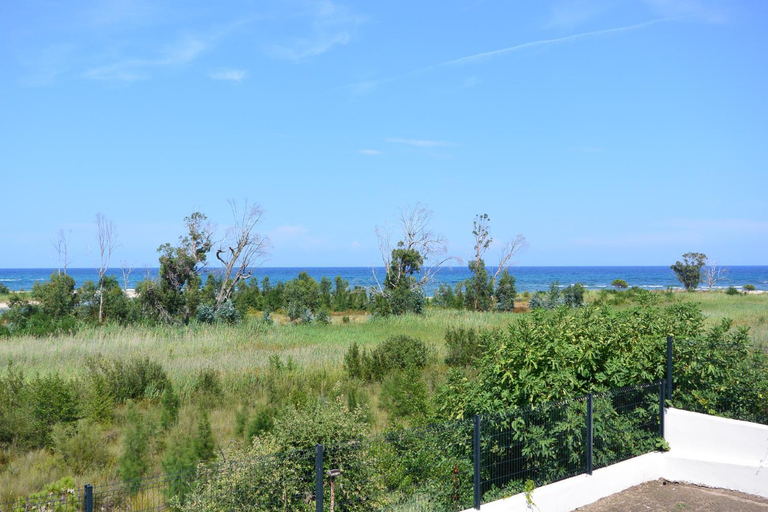 4, Emma, Corse-du-Sud