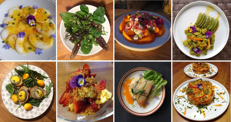 Food & Drinks 3, une oasis dans le perche, Orne