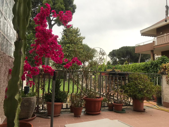 Others 5, Renata, Latina