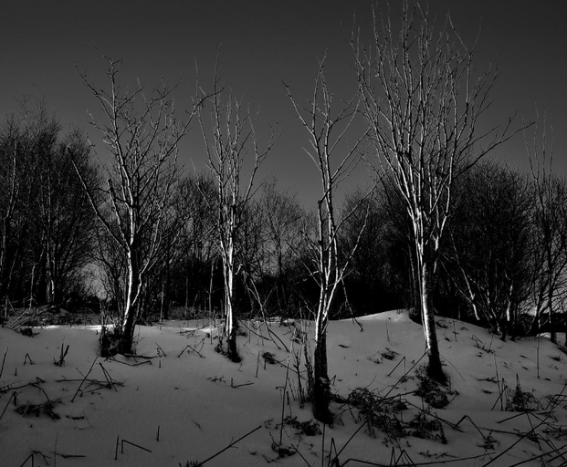Others 4, Skye Photo Centre, Highland