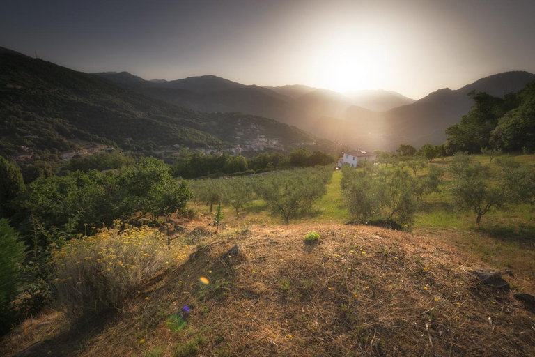 View, Sarl Aurore-Vacances, Corse-du-Sud