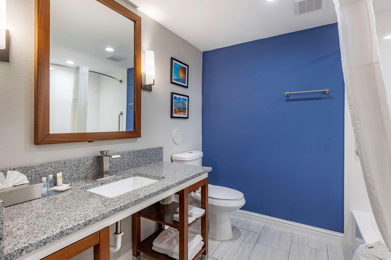 Bathroom 5, Comfort Suites St. Louis - Sunset Hills, Saint Louis