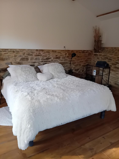 Bedroom 2, Le mas des sources cevenol, Gard