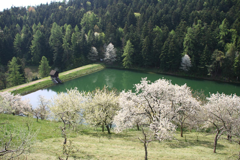 Others 4, Sad nad Klingerom, Banská Štiavnica