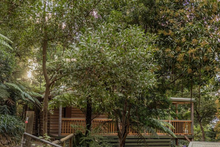 Fern House, Colac-Otway - South