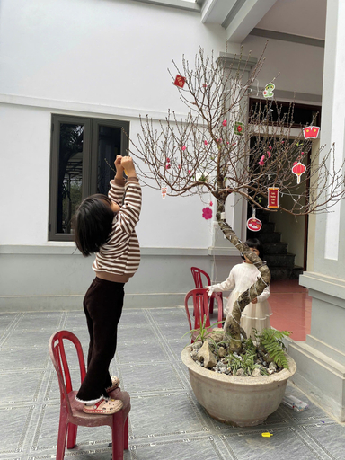Others 3, NhaBoong-Homestay Riverside Ninh Binh, Gia Viễn