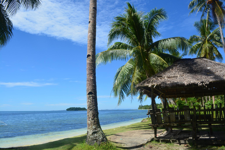 Others 3, Yayay house 1(1fl)..starlink/kichen,1min to beach, General Luna