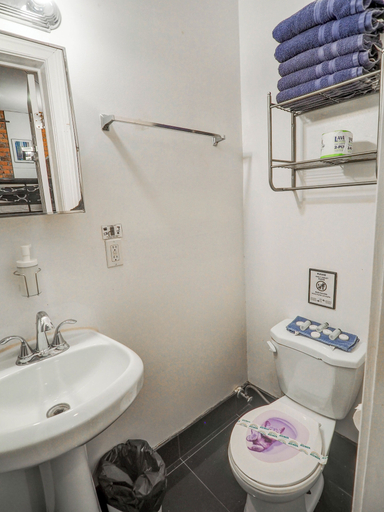 Bathroom 3, Iconic Hotel, New York