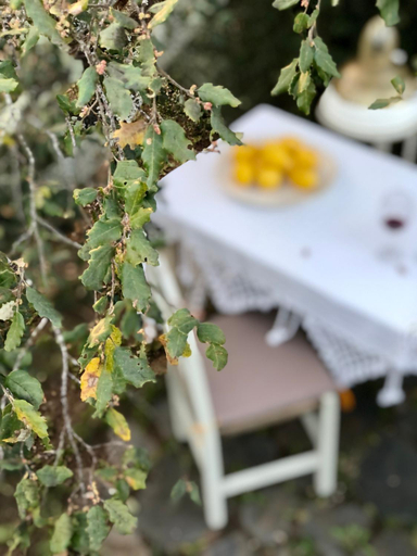 Others 2, Glamping - La Casa del Piano, Cádiz