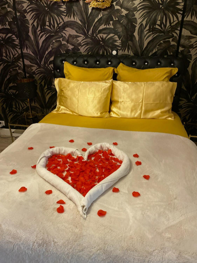 Bedroom 2, Appartement de luxe avec Jacuzzi au centre de Metz, Moselle