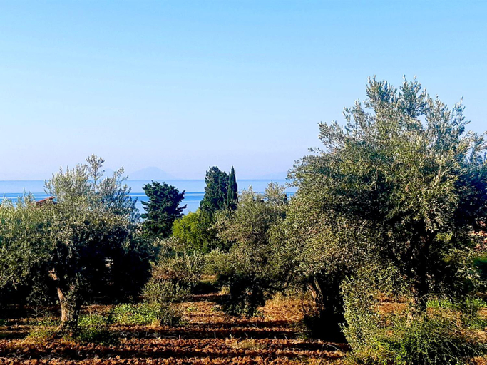 Surrounding environment