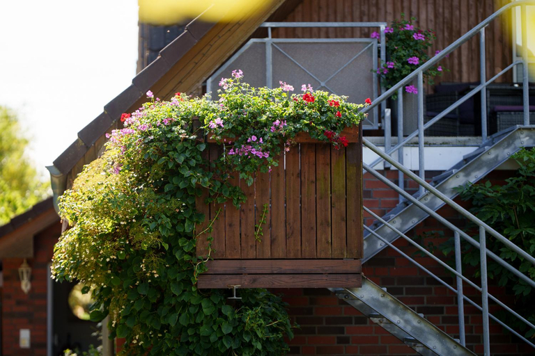 Others 3, Landhaus Nienhagen, Rostock