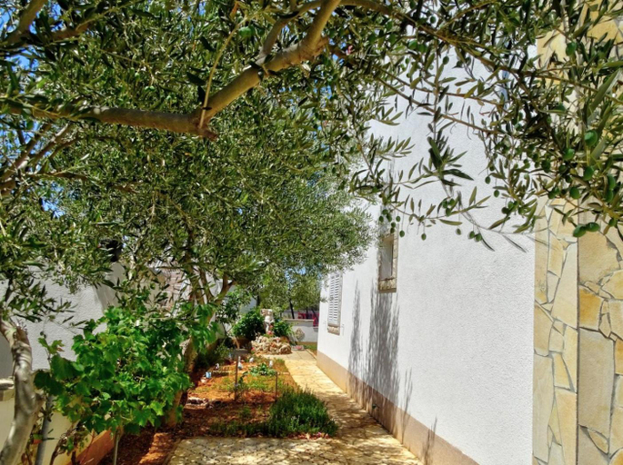 5, Apartments Zoka, Vir