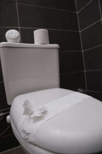 Bathroom, Castle  hotel, 'Abdin