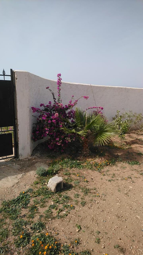 Others 5, Villa en el campo sobre el mar, Nador