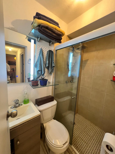 Bathroom 3, Rooftop Paradise Central Location, Scenic Views, Mexico City