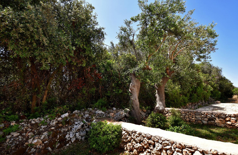 Others 4, Masseria Pitanni, Lecce