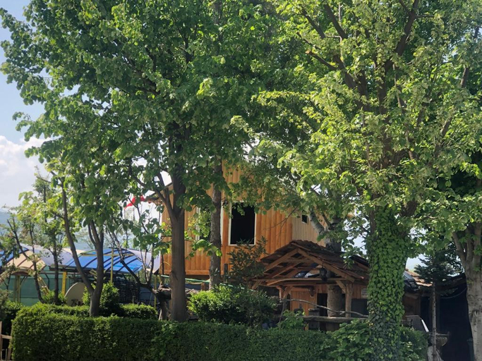 Bujtina Gashi, Kukësit