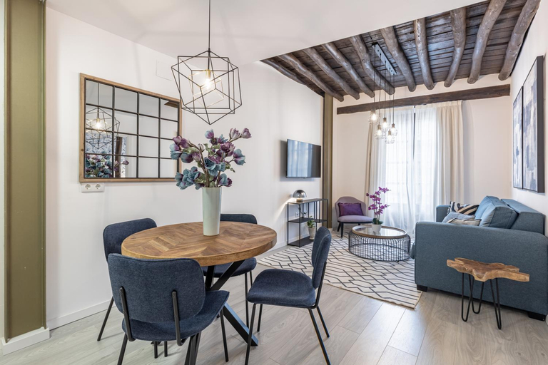 Others 5, Apartamentos Puerta Elvira Suites 3000, Granada