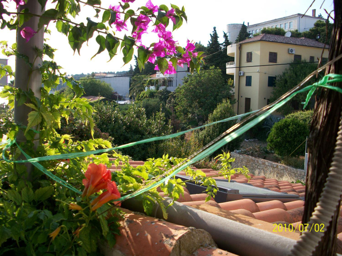 Others 5, Apartmani Surlin, Hvar