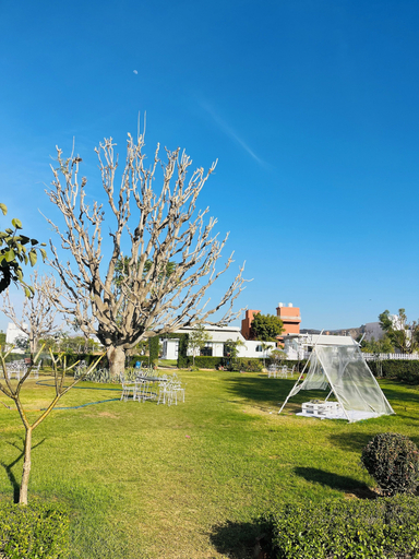 Exterior & Views 2, Cattle Inn Resort, Ajmer