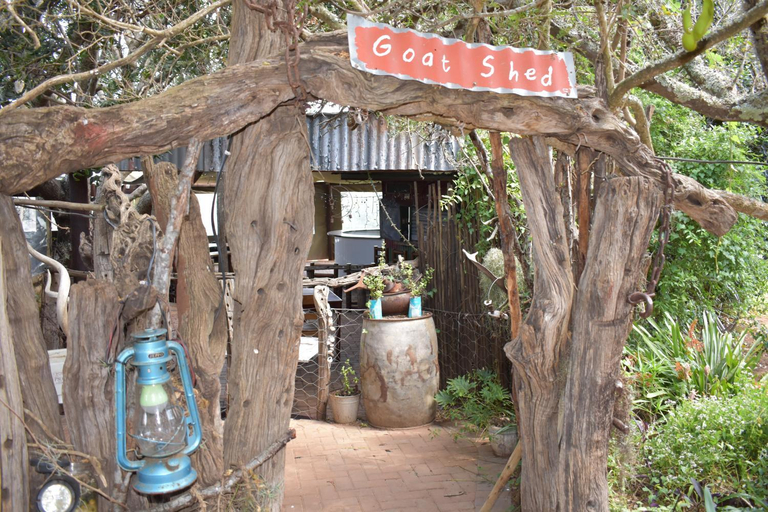 Food & Drinks