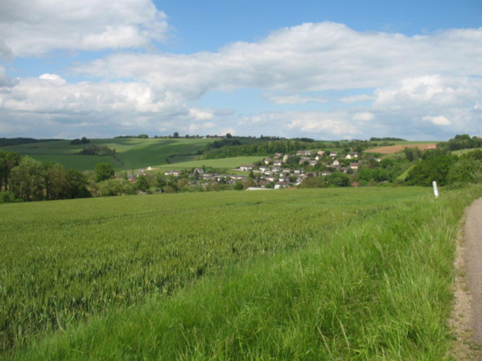 Others 2, CAMPAGNE et FORET, Yonne