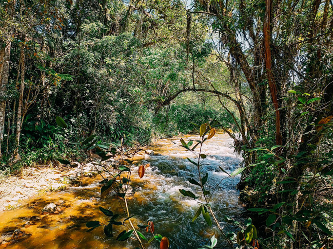 Others 4, Suite com cachoeira no quintal, Antônio Carlos