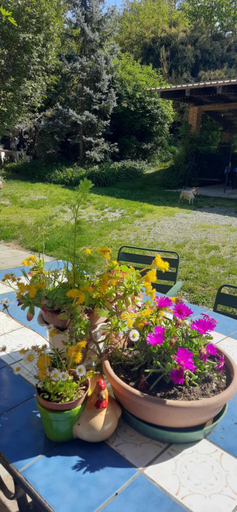 Others 5, Il Giardino del Gallo, Cuneo
