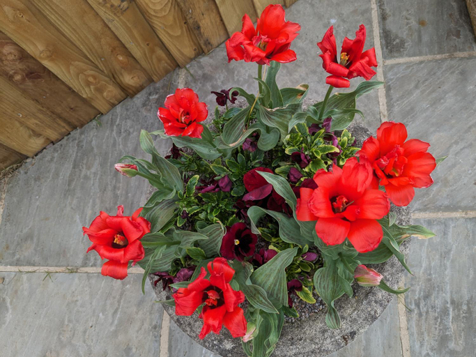 Others 4, Rosegarth Bed and Breakfast, North Yorkshire
