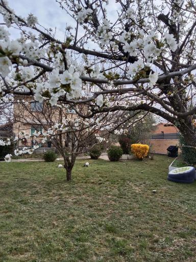 Others 2, chambre d'hotes 25 M2 prive , parking, jardin, piscine, spa, barbecue Ruoms 2, Ardèche