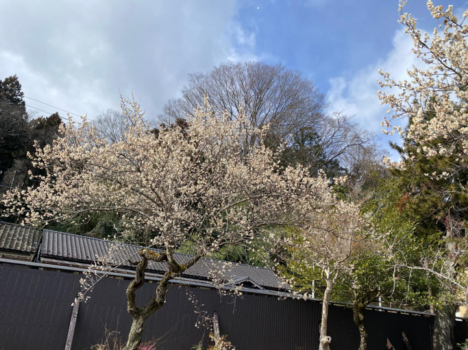 1, Takeyashiki たけやしき, Shiroishi