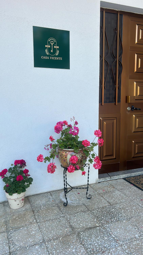 Casa Vicente, Lamego