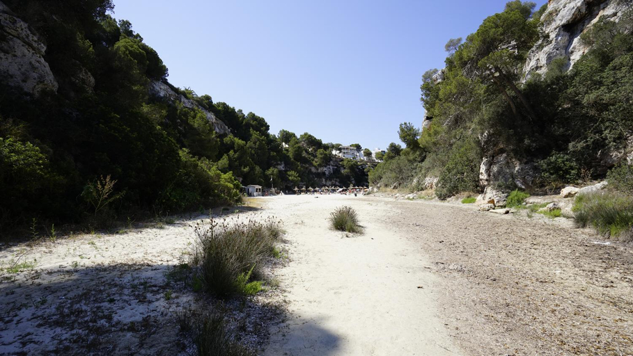 Surrounding environment