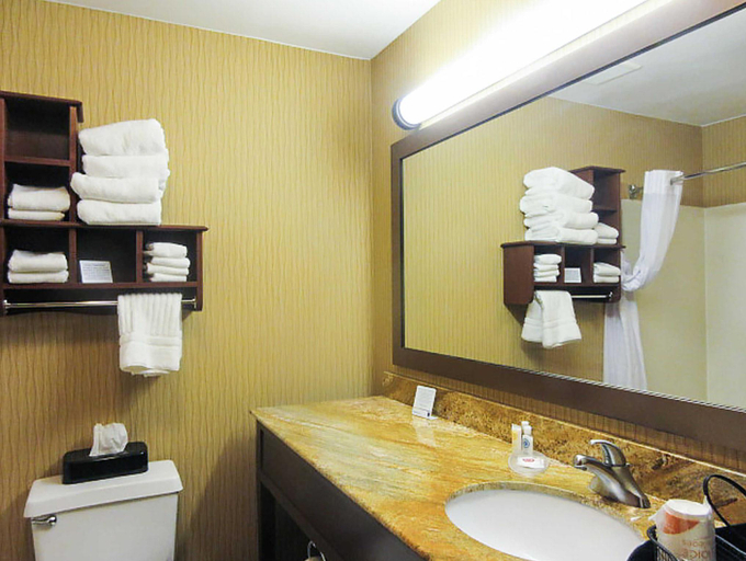 Bathroom 4, Comfort Inn Wings Stadium, Kalamazoo