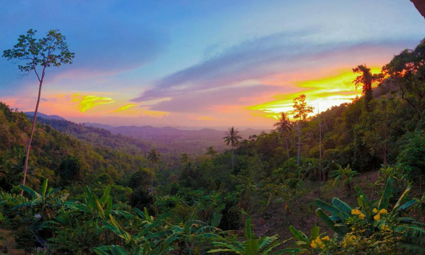 Scenery 5