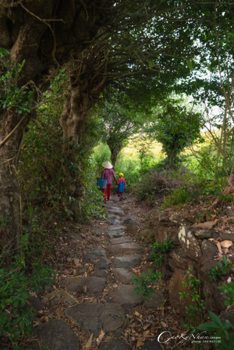 Others 3, Tammy homestay- Ganh Da Dia, Tuy An