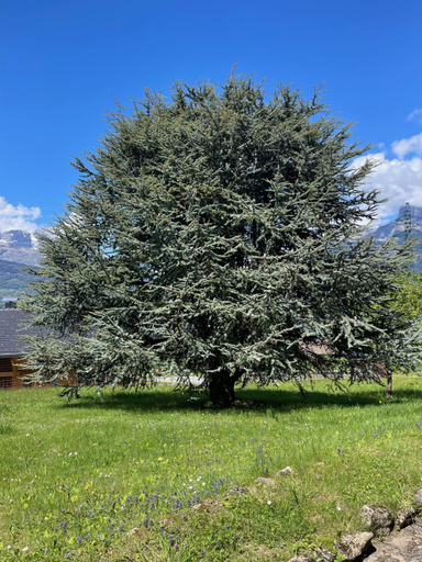 3, Chalet de la buche croisee, Haute-Savoie