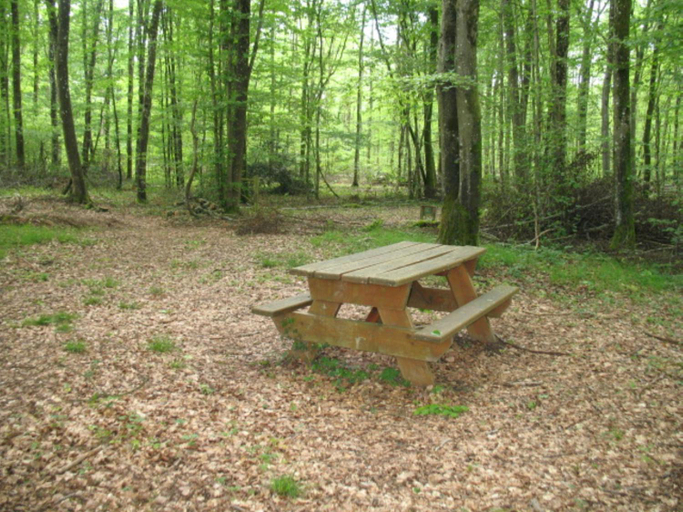 Others 4, CAMPAGNE et FORET, Yonne