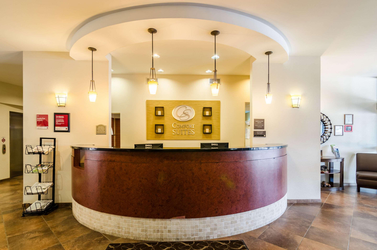 Public Area 3, Comfort Suites Gothenburg, Dawson