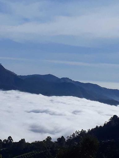 Others 5, Arunai Grand Kodai, Dindigul