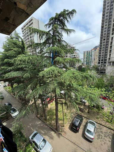 Others 4, Apartaments in Batumi, Batumi