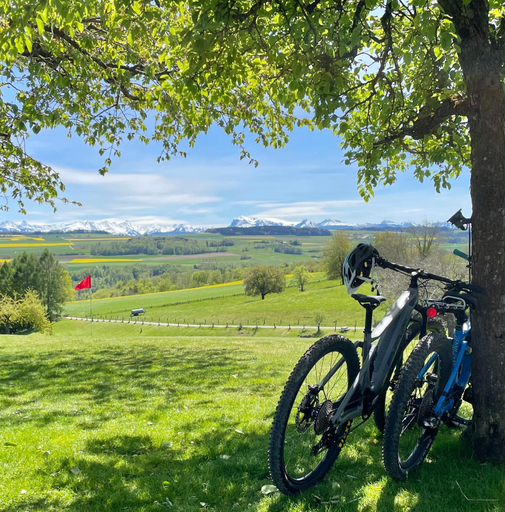 Others 3, Cabane dans les arbres / Swin-golf de Cremin, Broye-Vully